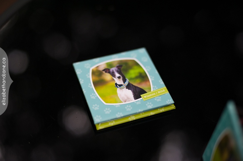 Winston's pet products photographed in Ottawa by Liz Bradley of elizabeth&jane photography
