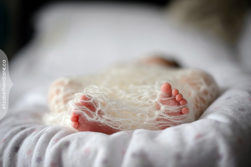 Baby Brooklyn's newborn session photographed by Liz Bradley of elizabeth&jane photography